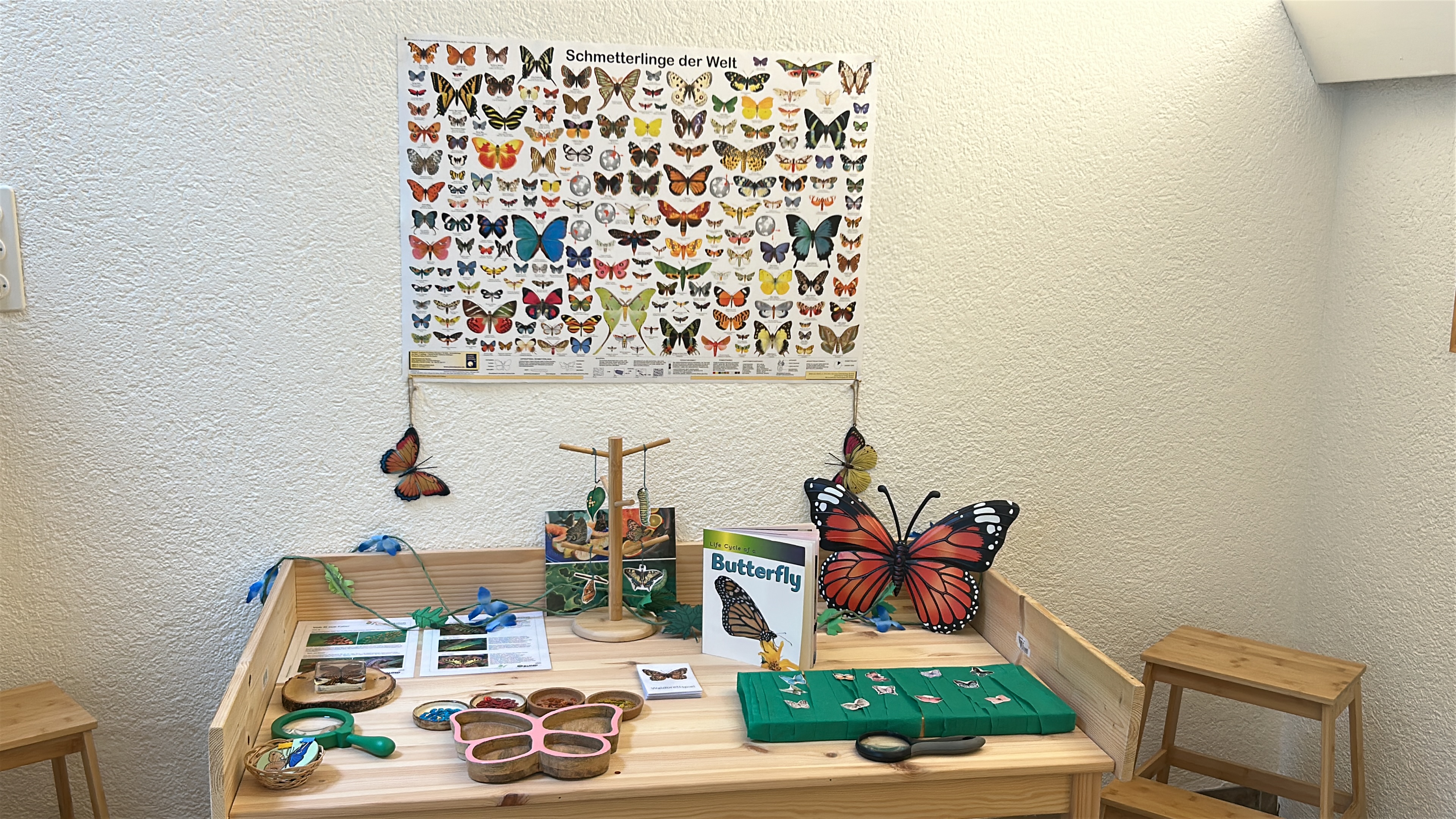 Natur und natürliche Welt im Montessori Kinderhaus Bülach